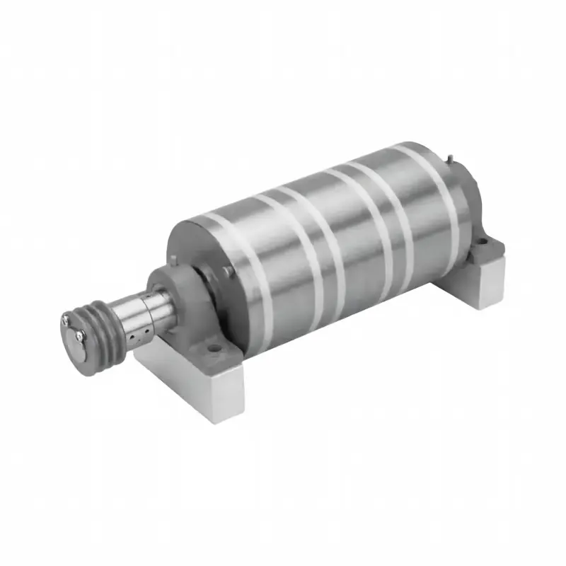 Custom Electromagnetic Roller with V-Belt Pulley & Pillow Block Bearings
