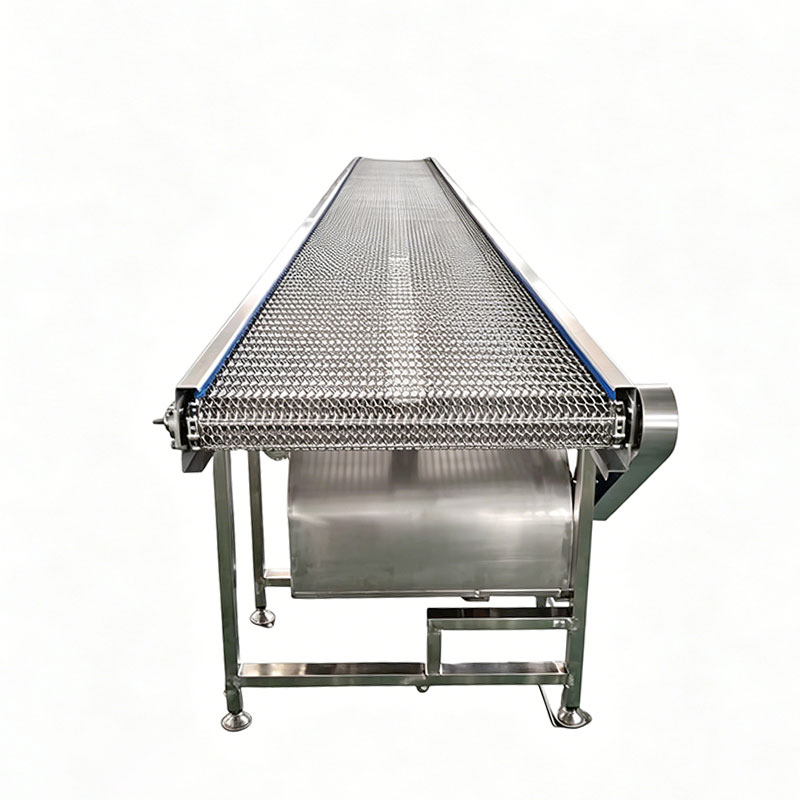 Custom Stainless Steel Mesh Belt Conveyor System