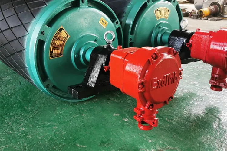 Explosion proof electric roller